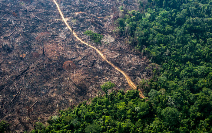 Amazônia