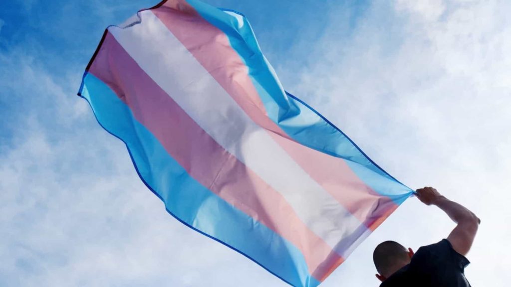 Bandeira trans