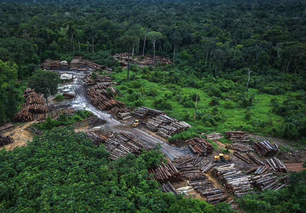 Foram 1.007 focos de calor detectados pelo Inpe na Amazônia. Segundo o instituto, a taxa de desmatamento  e incêndios na floresta está em alta há 14 meses