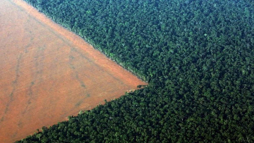 Carta de ex-ministros foi enviada ao presidente da França e às primeiras-ministras da Alemanha e da Noruega para pedir proteção à Amazônia