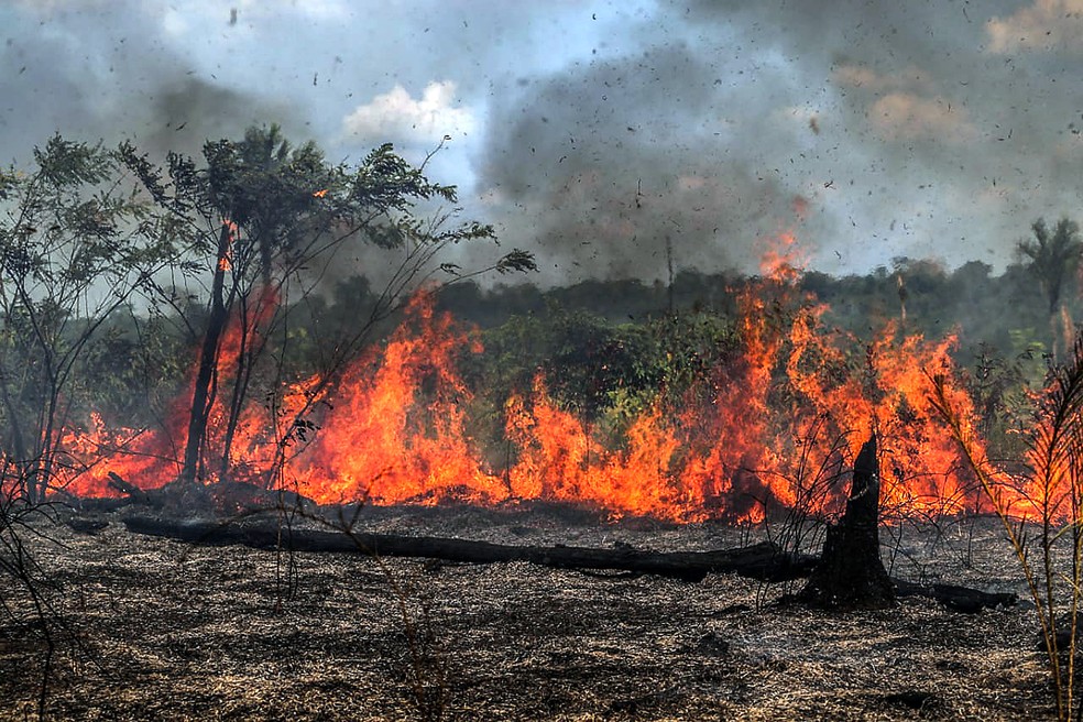 Queimadas na Amazônia