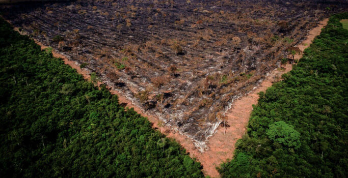 Amazônia