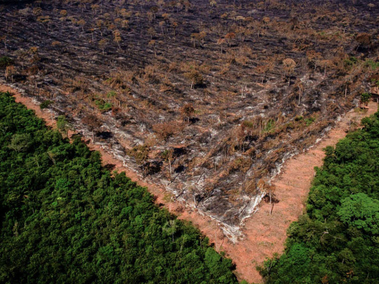 Amazônia