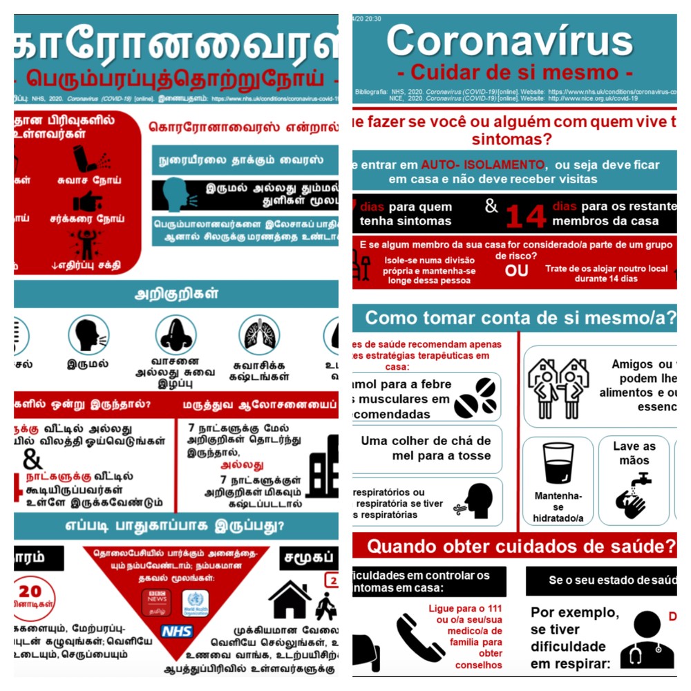Gráficos sobre o Coronavírus em tâmil e português da equipe do Covid19graphics — Foto: Reprodução
