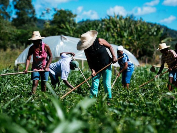 Agricultores