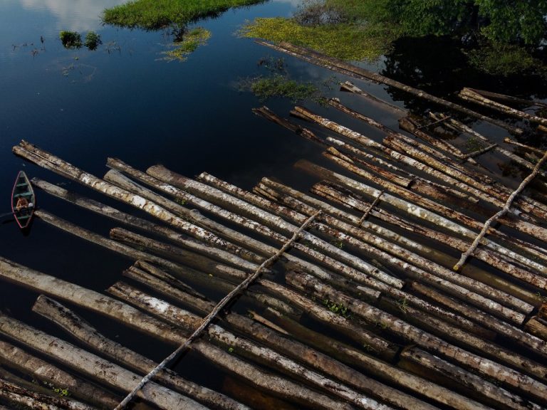 Desmatamento amazônia