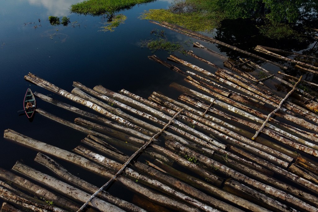 Desmatamento amazônia