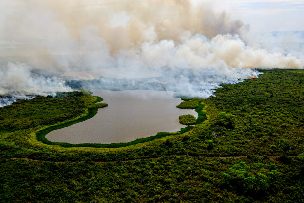 Pantanal