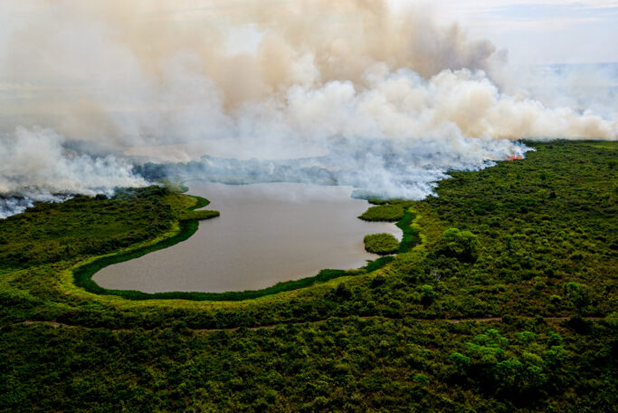 Pantanal