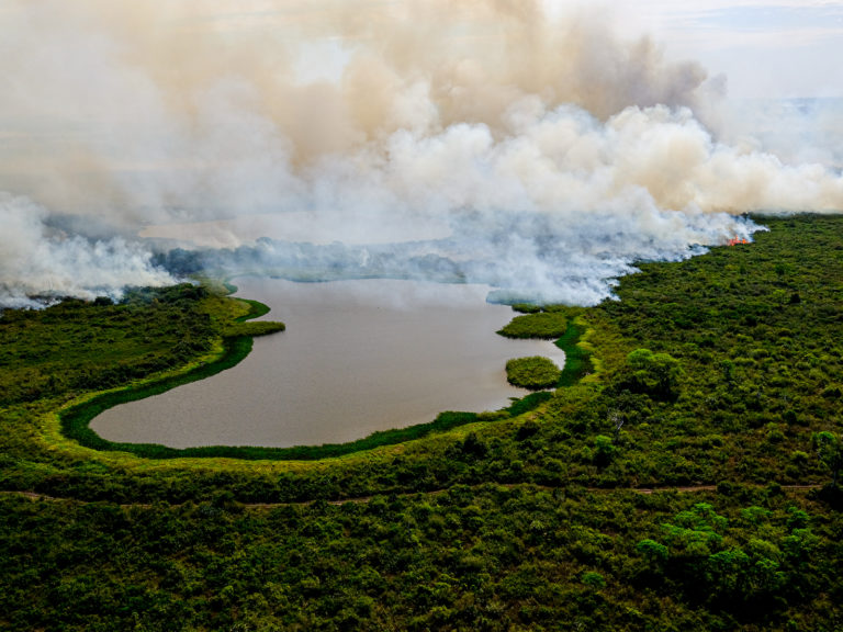 Pantanal