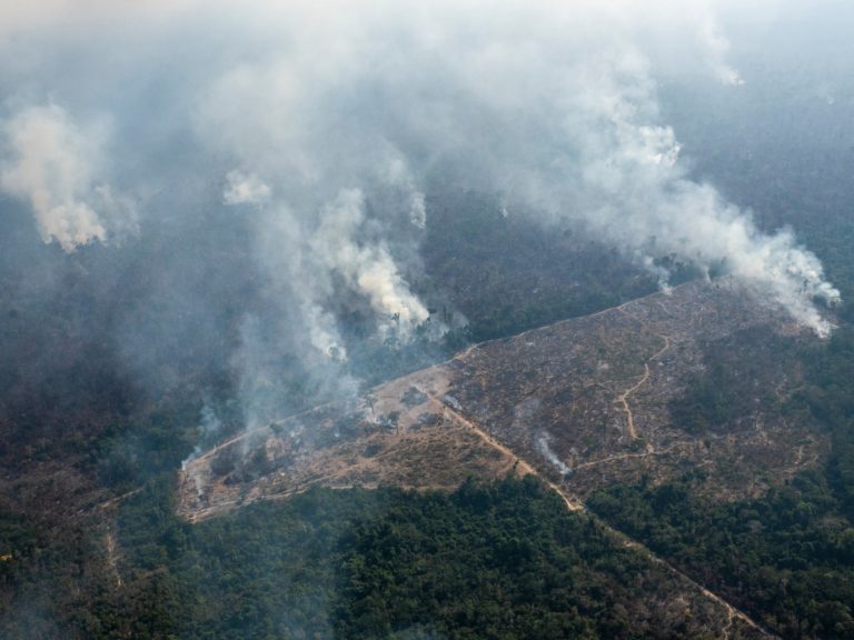 Amazônia - Política Ambiental