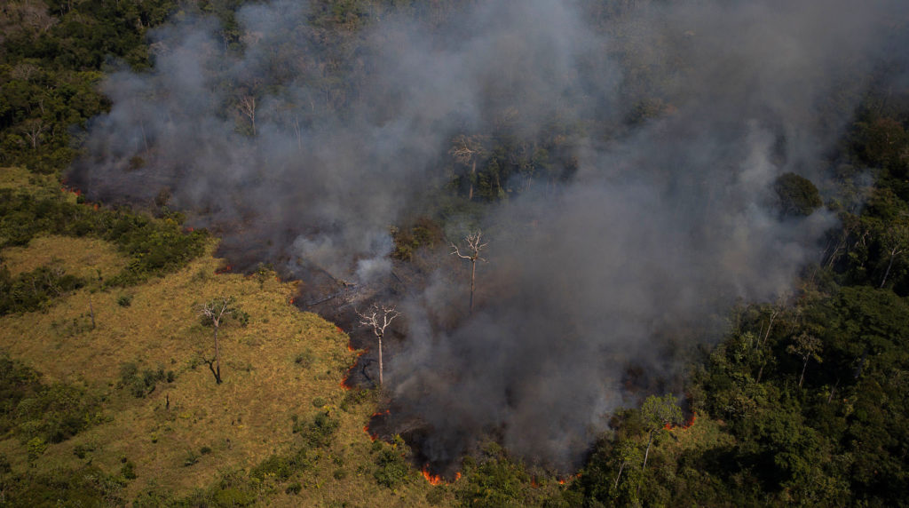 O governo federal planeja criar mecanismos para expropriar propriedades com registros de queimadas e desmatamentos ilegais