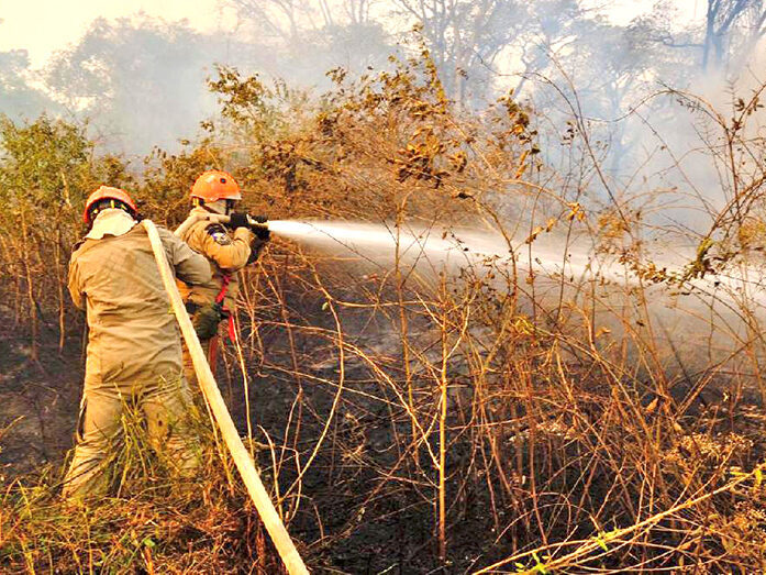 incêndios - Pantanal