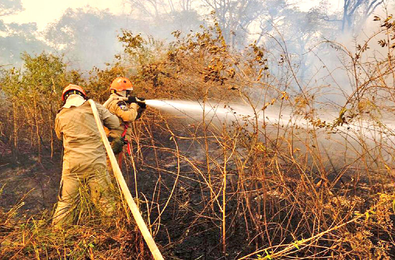 incêndios - Pantanal