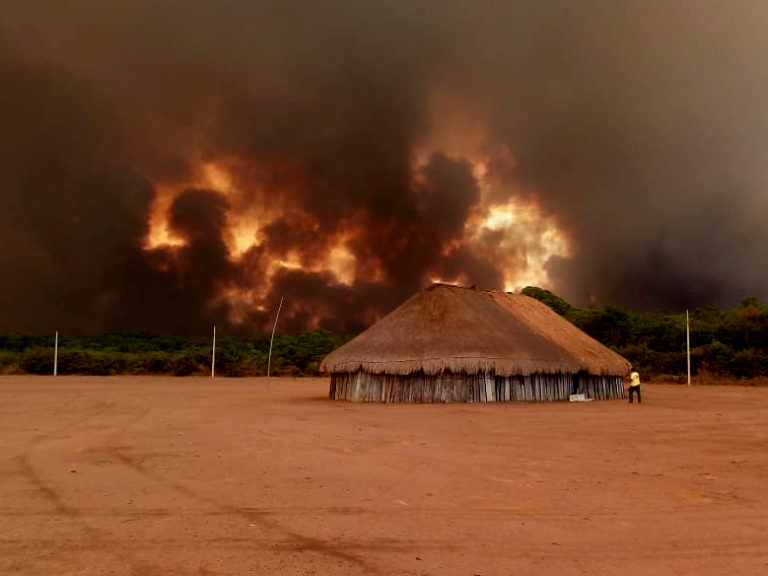 incêndios florestais