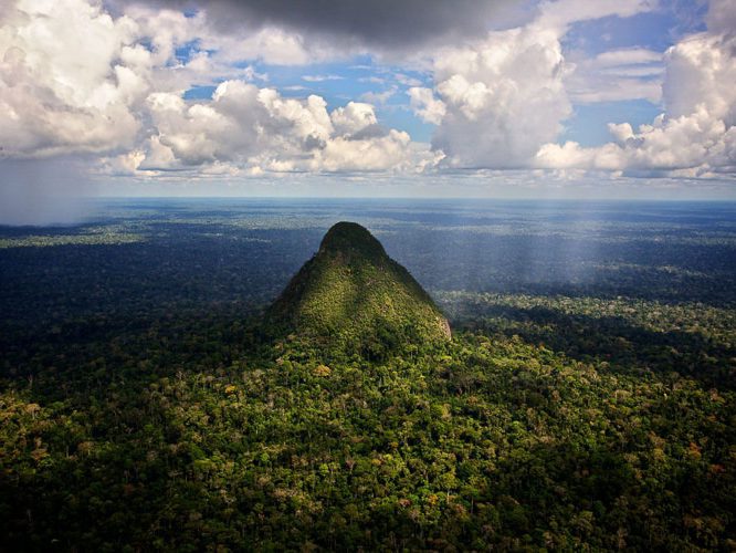 Amazônia estrada