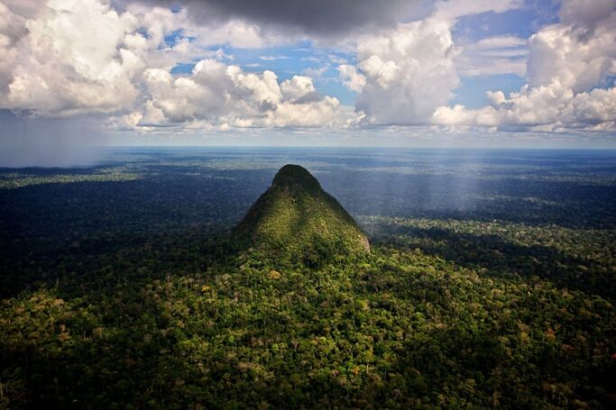 Amazônia estrada