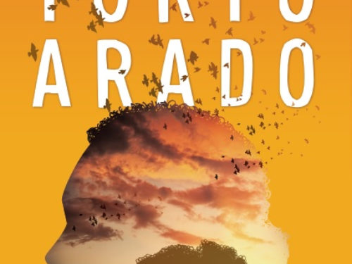Melhor romance literário com “Torto Arado” no Prêmio Jabuti