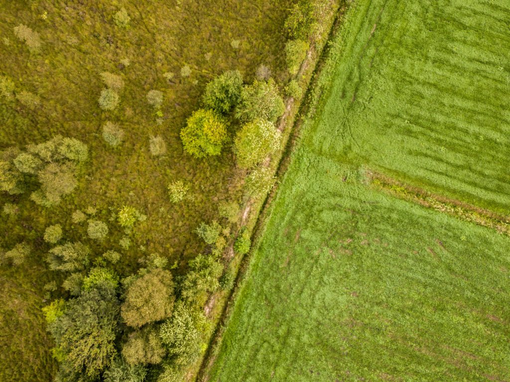 Nature vs agriculture