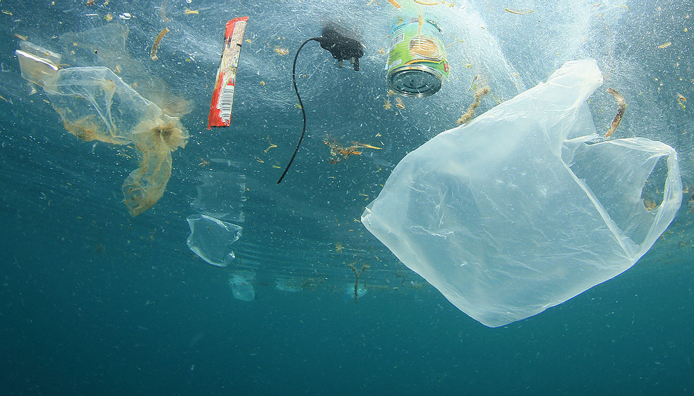 Todos os dias, 890 toneladas de plásticos são despejadas no mar brasileiro. Em apenas 24h, bilhões de itens de plástico invadem o litoral.