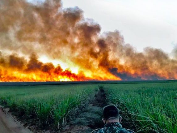 Incêndio no Pantanal - Foto: Divulgação