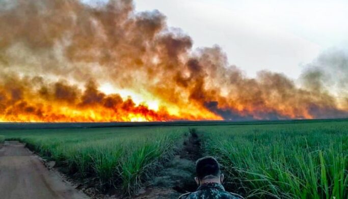 Incêndio no Pantanal - Foto: Divulgação