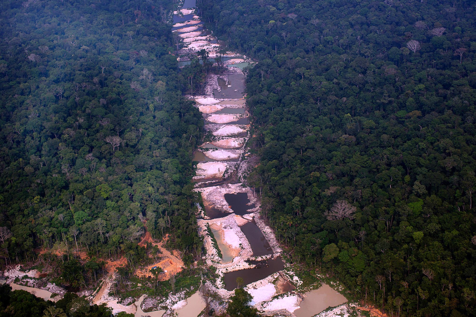 Mobilização virtual protesta contra fim do Licenciamento Ambiental -