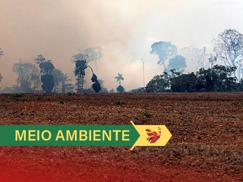 O Congresso e o STF irão deliberar sobre temas cruciais para o futuro do meio ambiente, dos povos originários e das comunidades tradicionais