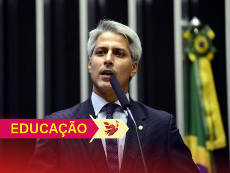 educação