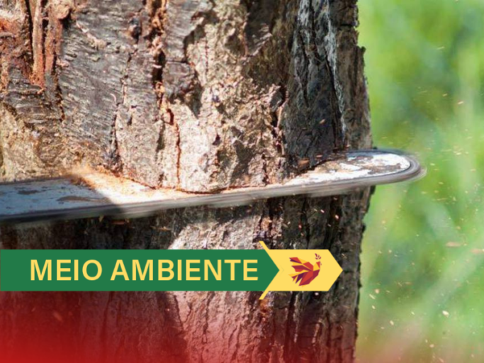 ambiental