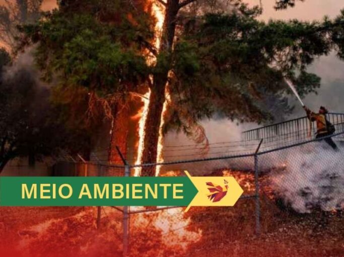 incêndios