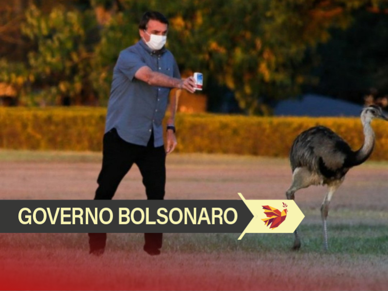 Bolsonaro