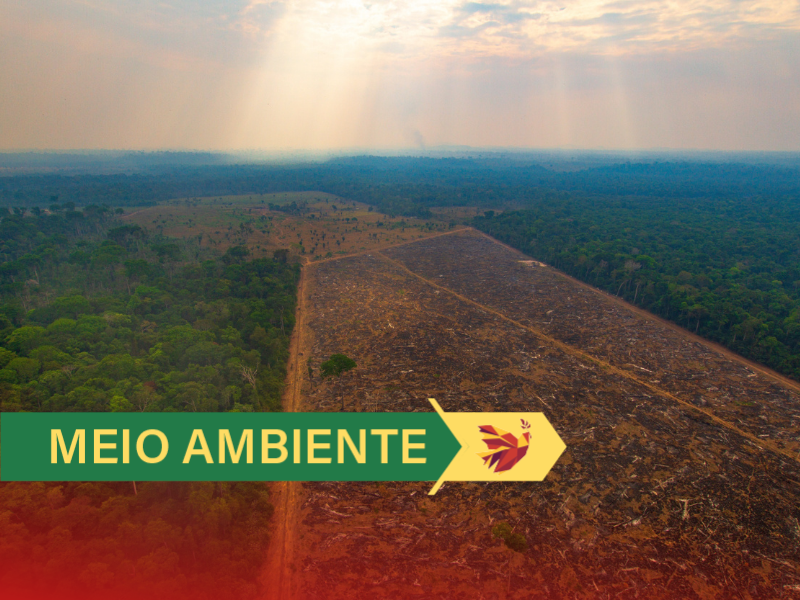 ambiental