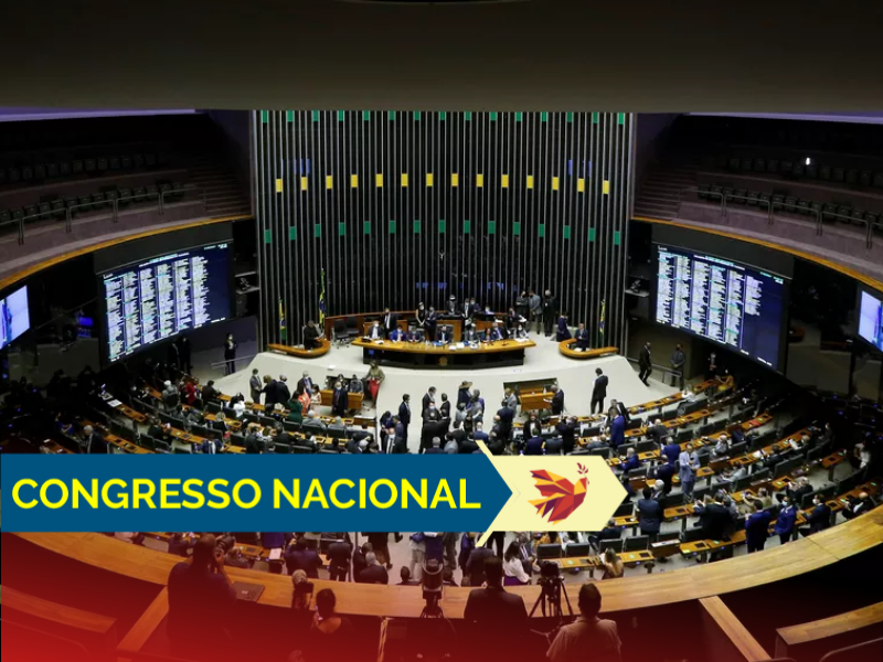 senado