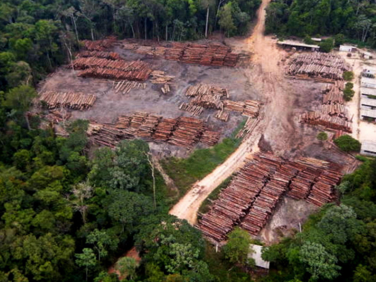 amazônia