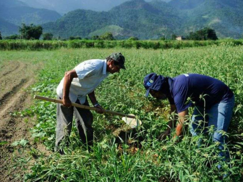 agricultores