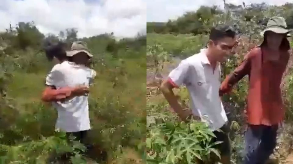 Poucos dias após resultado do Sisu, cena na roça provocou comoção nas redes e foi compartilhada por figuras públicas