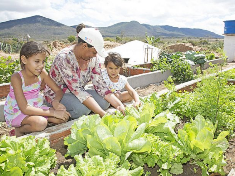 agricultora