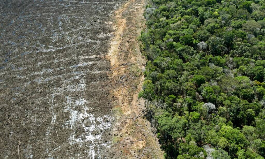 Mesmo com a tímida redução, o desmatamento no primeiro trimestre de 2022 foi o pior registrado na série histórica do Inpe