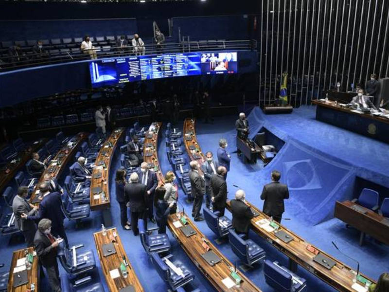 senado