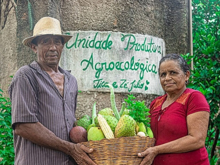 alimentos